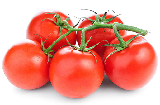水耕番茄